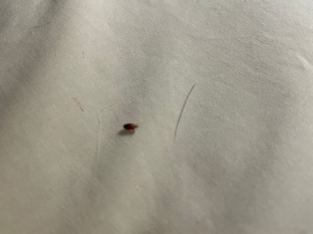 马洞汽车旅馆主图