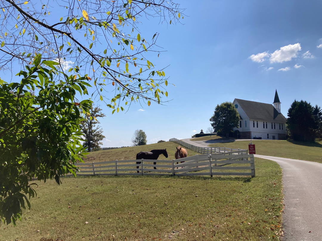 Whitestone Country Inn主图