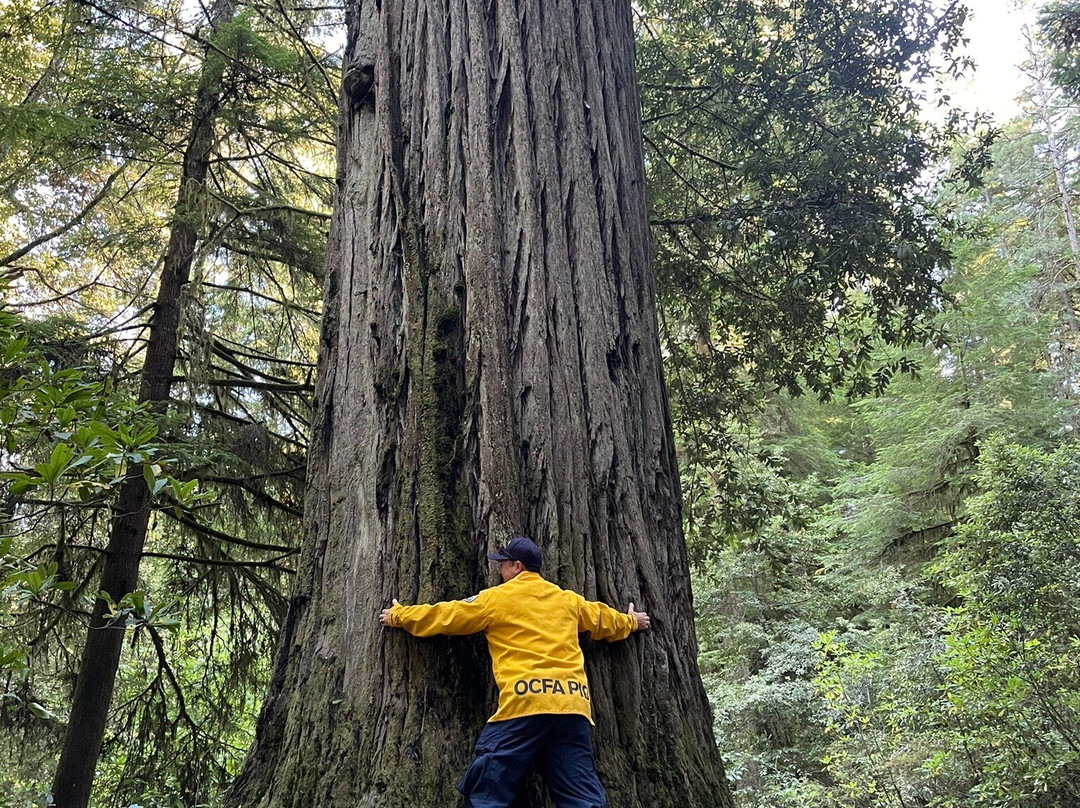 Ocean View Inn主图