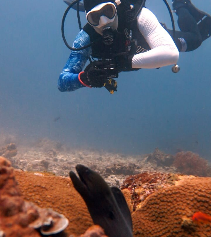 DivingAsia ru景点图片
