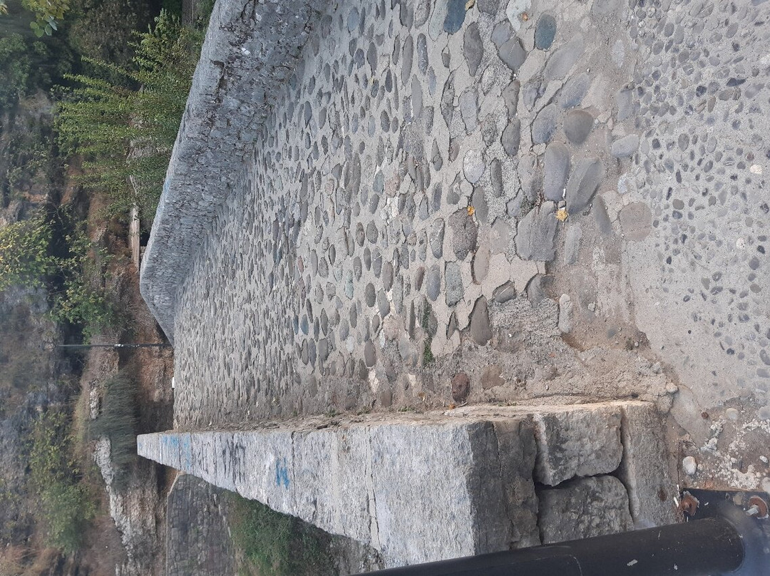 Ribnica Bridge (Most na Ribnici)-波德戈里察必去景点