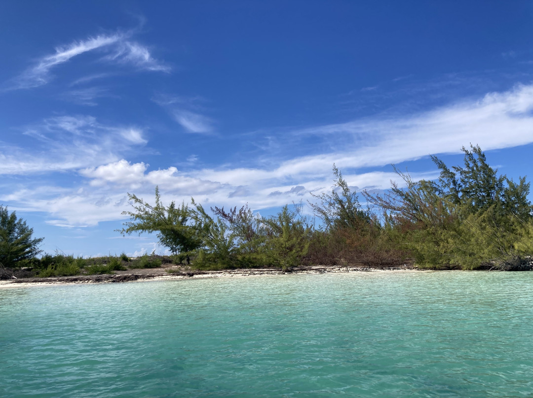 Island Seaduction Watersports & Tours-普罗维登西亚莱斯必去景点