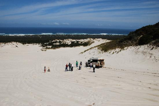 Pemberton Discovery Tours-彭伯顿必去景点