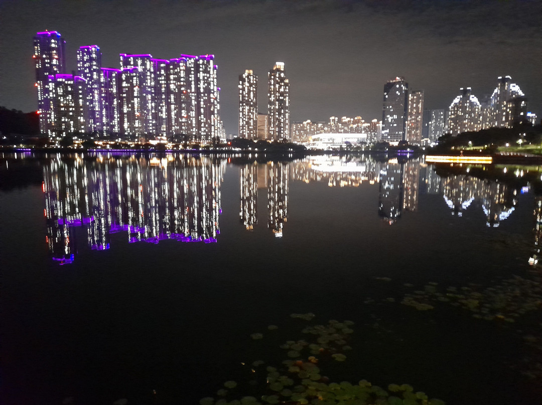 Gwanggyo Lake Park-水原市必去景点