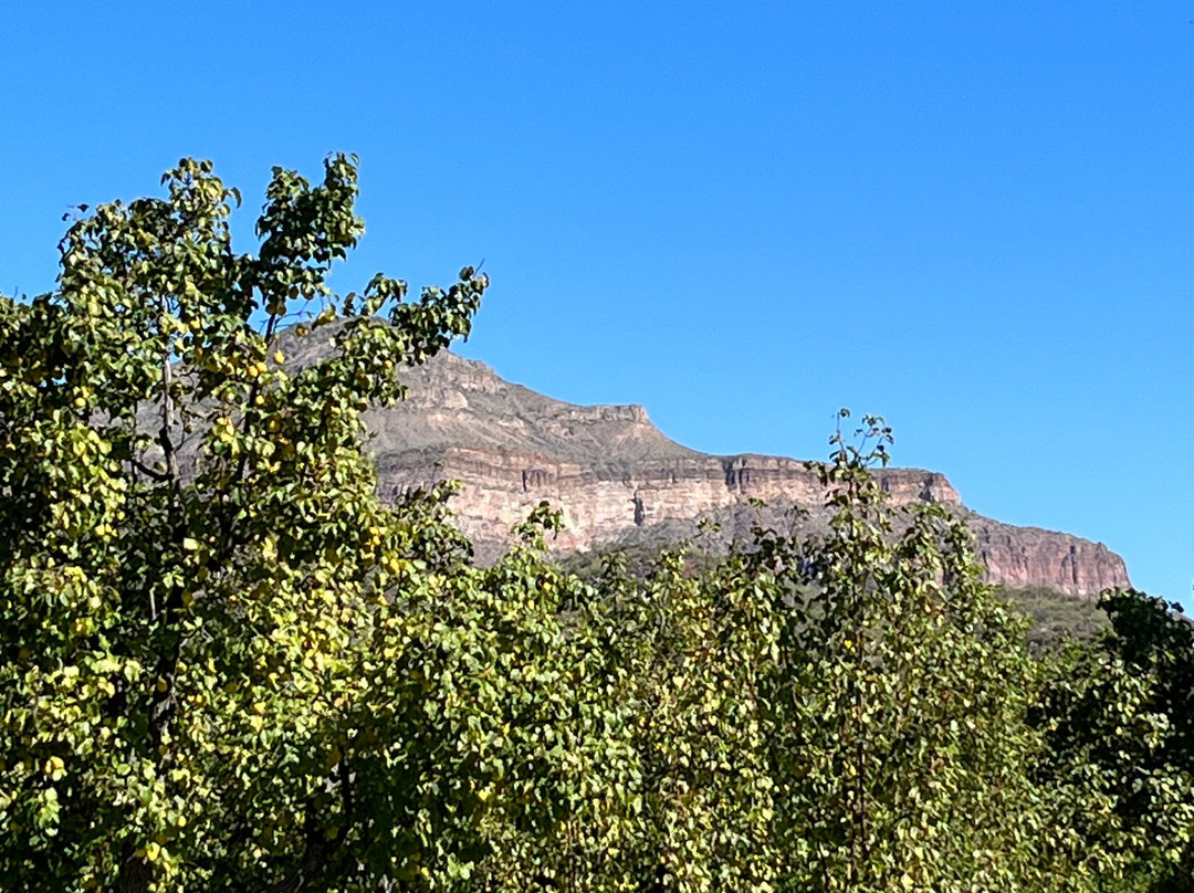 Aravaipa Farms Orchard and Inn主图
