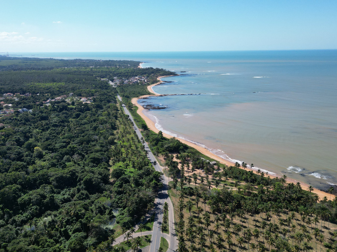 Praia de Coqueiral景点图片