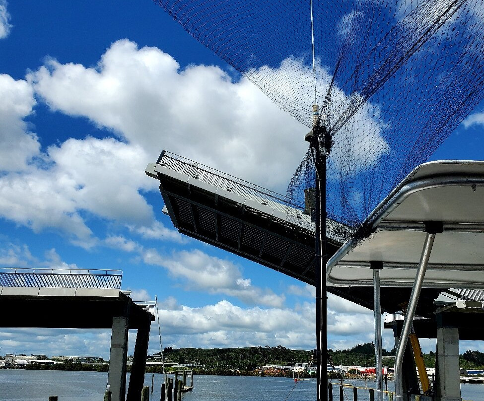 Whangarei Harbour Cruises景点图片
