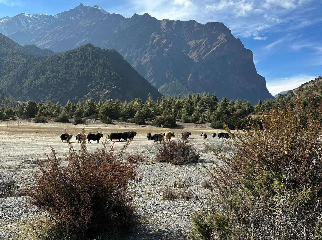 Pokhara Mountain Bike Adventure景点图片