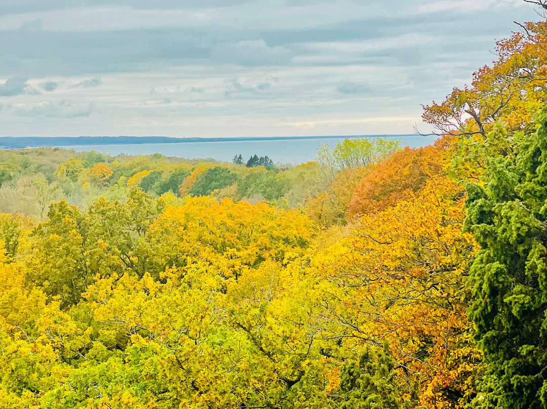 Stenshuvud Nationalpark-Kivik必去景点