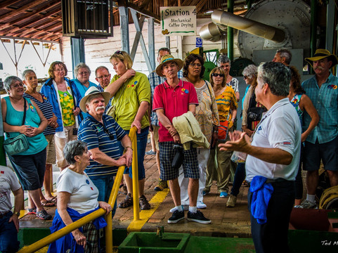 Vive Travels-圣何塞必去景点