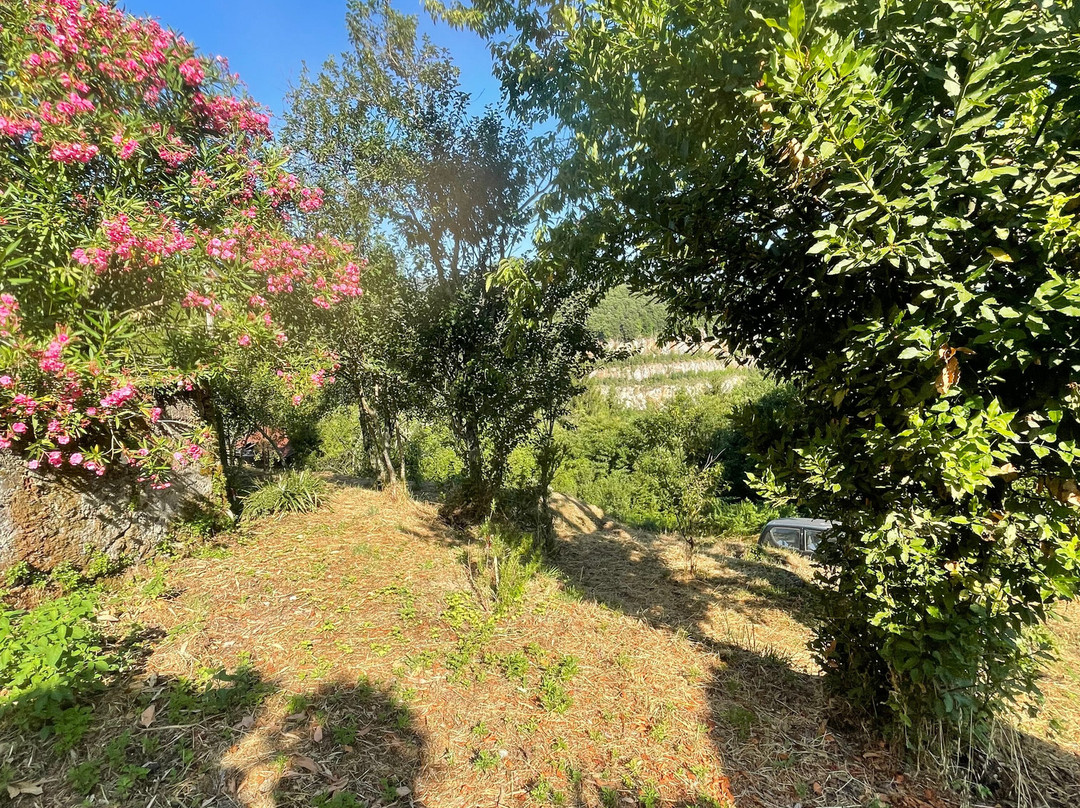 La Campana D'Oro主图