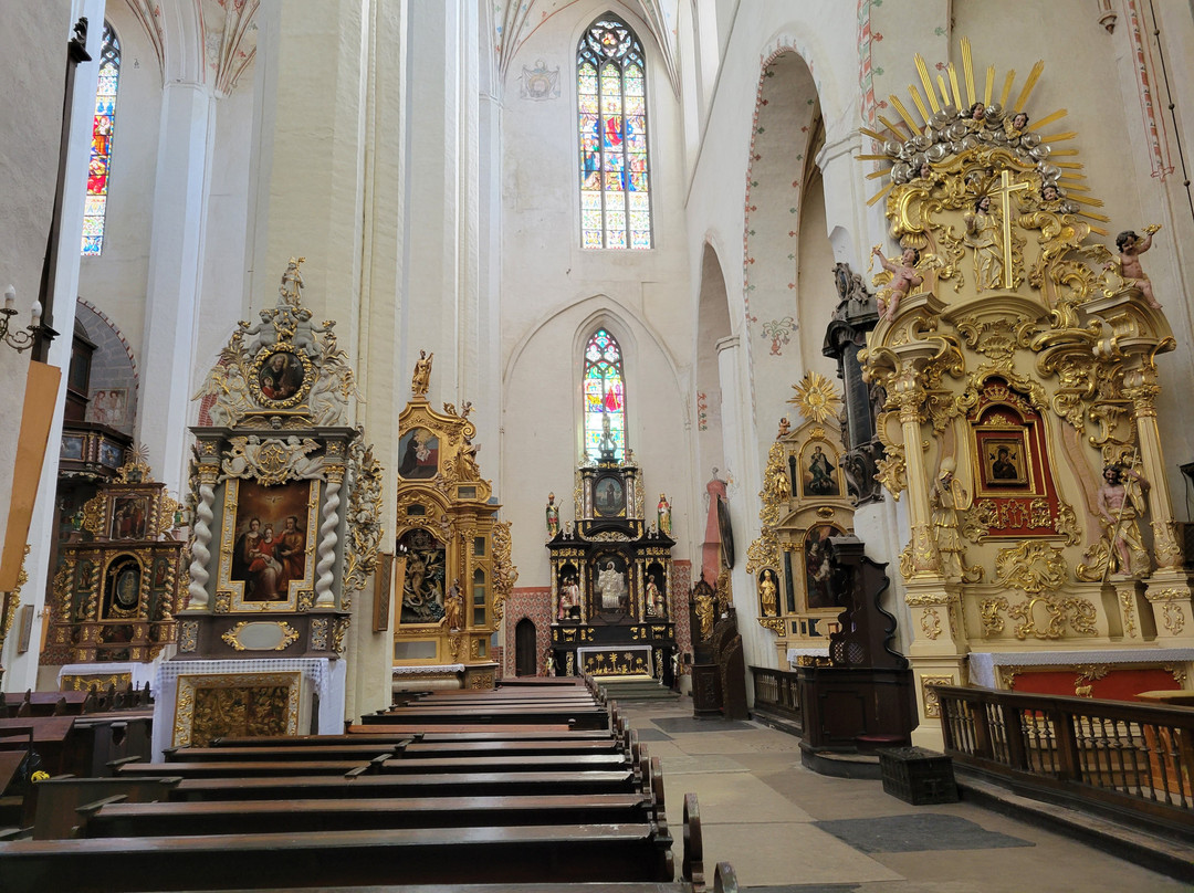 Katedra rzymskokatolicka św. Jana Chrzciciela i Jana Ewangelisty景点图片