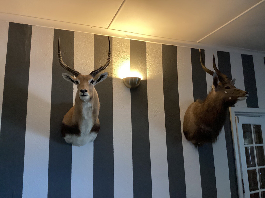 Wagon Wheel Country Lodge主图