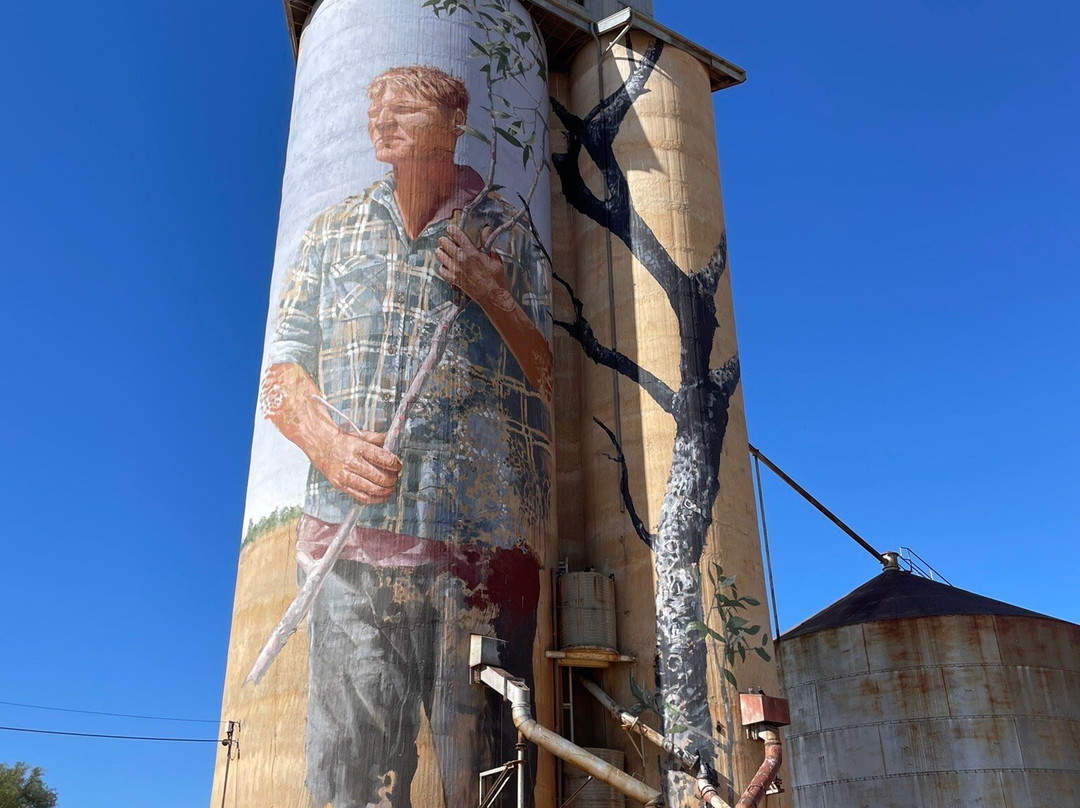 Patchewollock Art Silo-Patchewollock必去景点