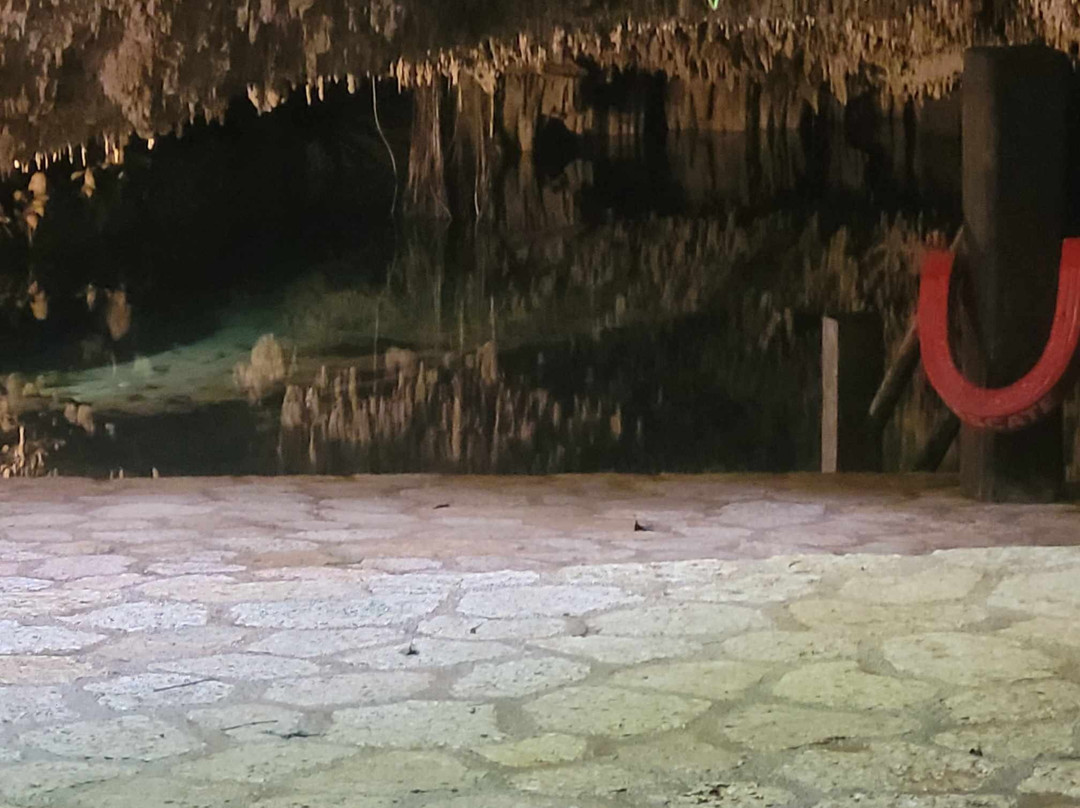 Cenotes Kin-Ha景点图片