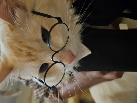 Chase Center-旧金山必去景点