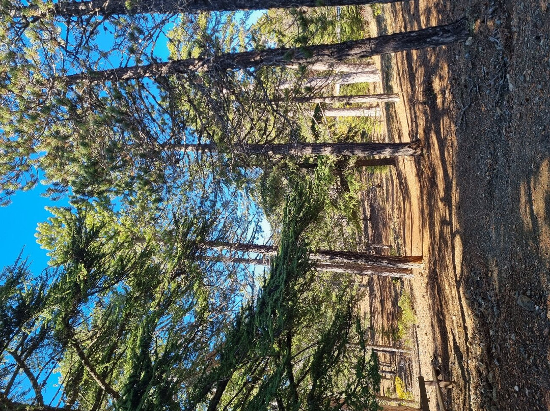 Atalante Nature Trail-特罗多斯必去景点