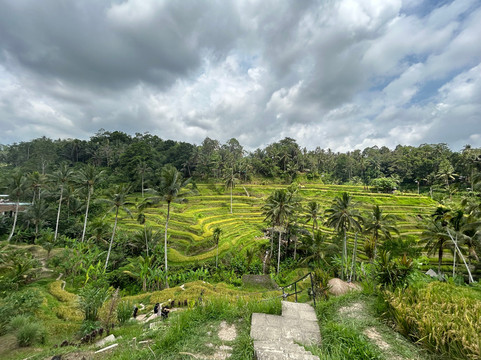 Gede Private Bali Driver-沙努尔必去景点