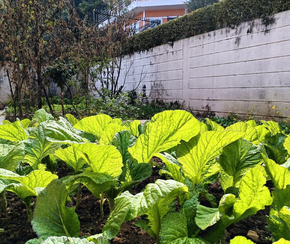 曼德拉瑜伽水疗工作室-Chandragiri必去景点