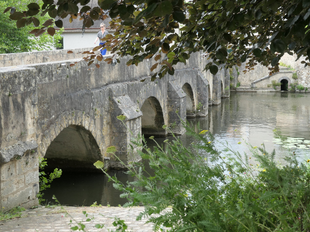 Old Chartres Fortifications景点图片