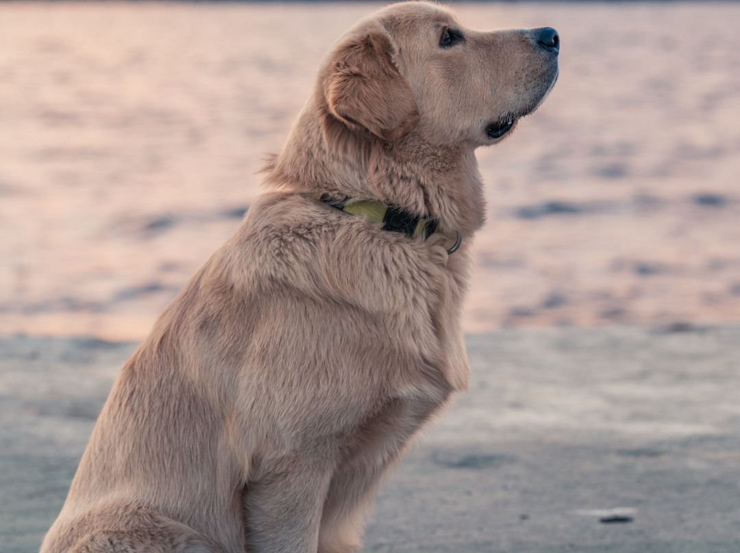 Made INN Vermont, an Urban-Chic Boutique Bed and Breakfast主图