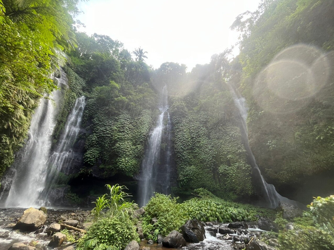 Sekumpul and Fiji Waterfall景点图片