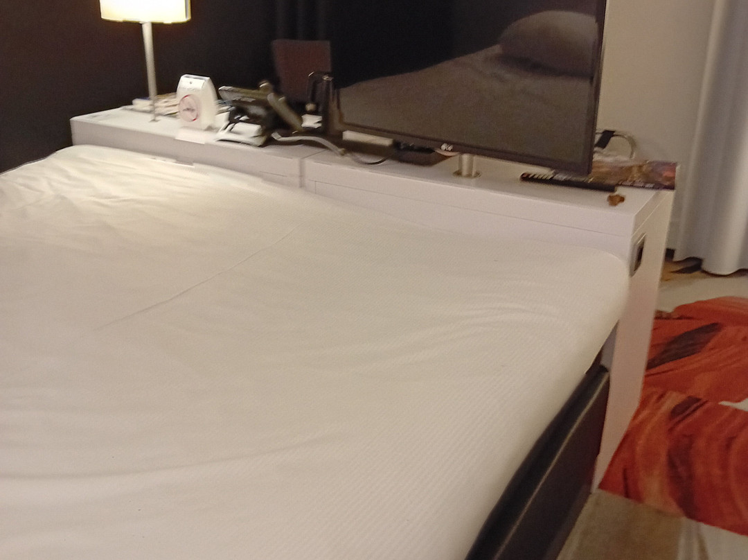 Fletcher Wellness Hotel Leiden主图