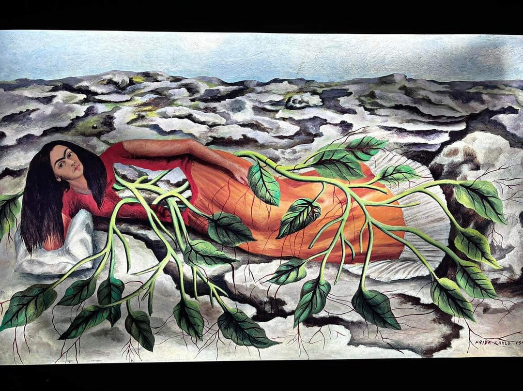 Museo Frida Kahlo景点图片