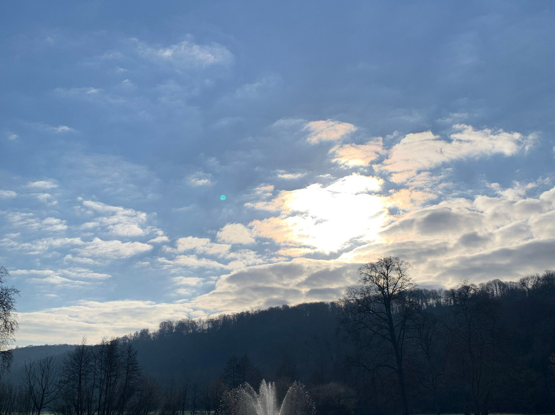 Abbaye du Valasse景点图片