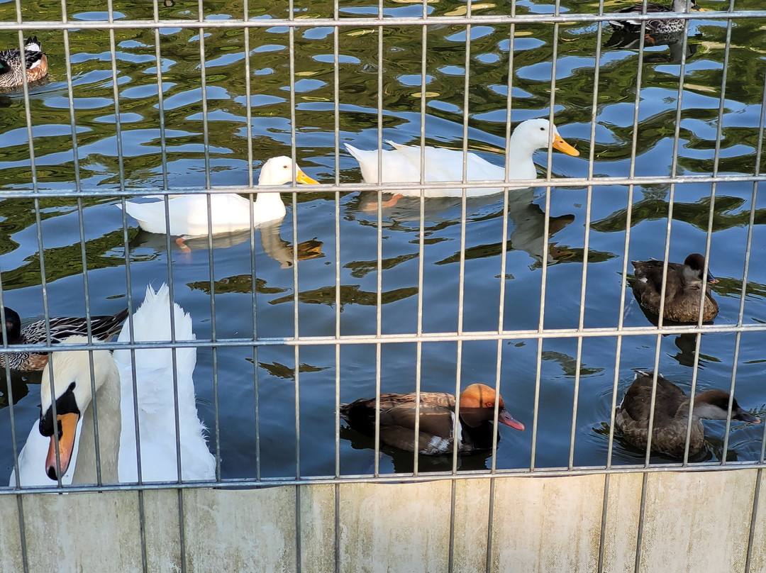 Tierpark Bad Zurzach-Bad Zurzach必去景点