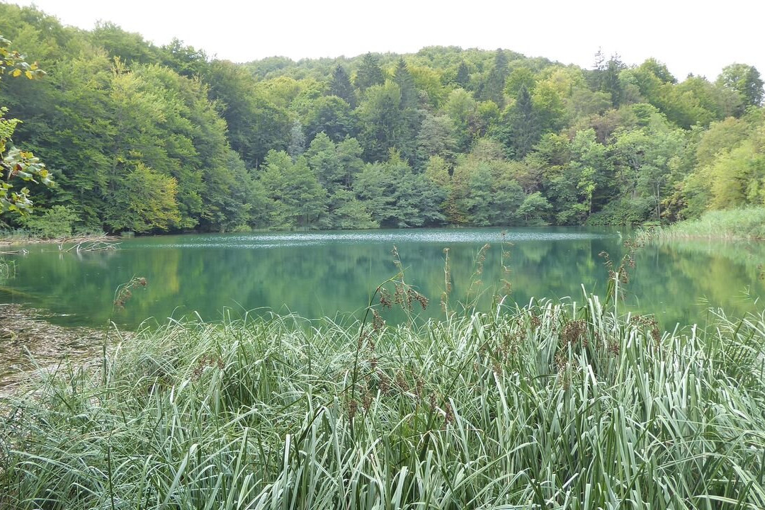 Veliko jezero景点图片