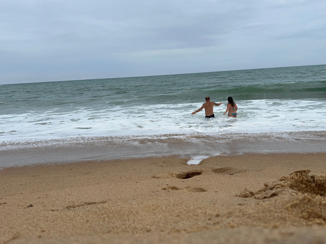 Itapebussus Beach景点图片