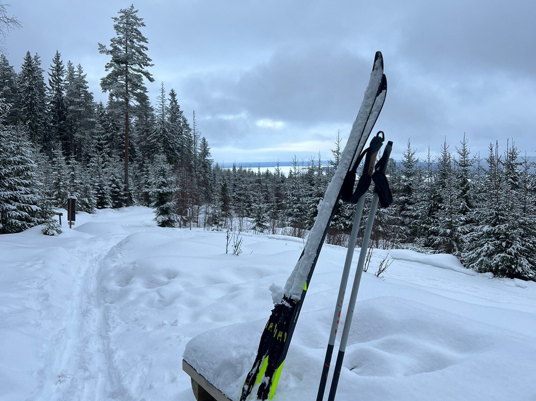 Granbergets skidanläggning景点图片