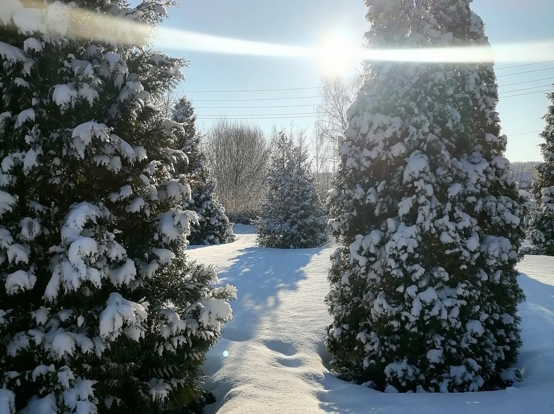 Staritsa Sanatorium主图