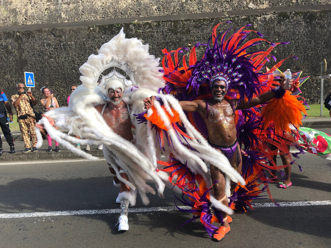 Carnaval de Fort-de-France景点图片