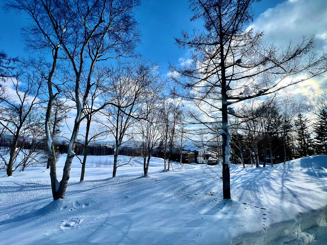 二世古町绿叶休闲度假村主图