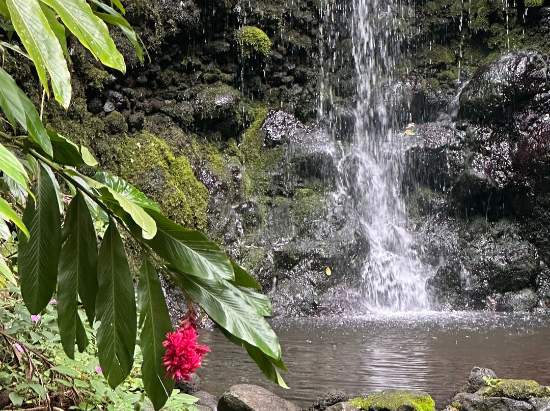 Vaihiria Quad Tahiti-Mataiea必去景点