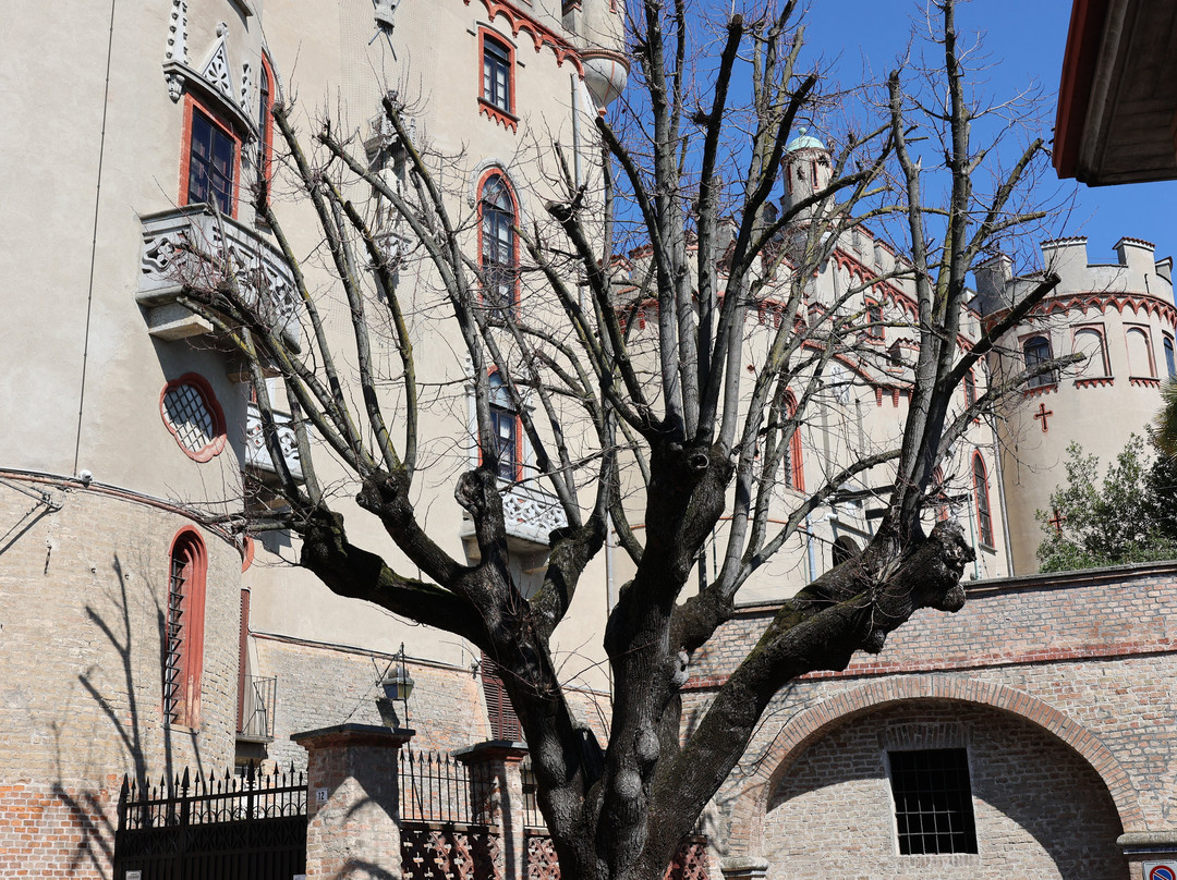 Castello di Costigliole景点图片
