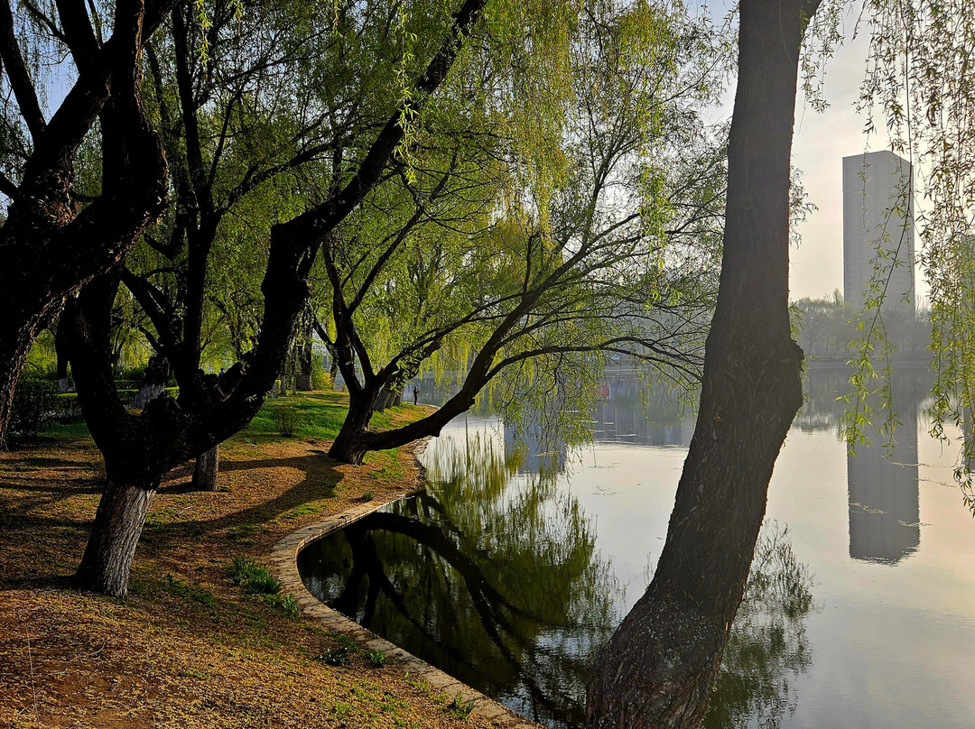 沈阳青年公园-沈阳市必去景点
