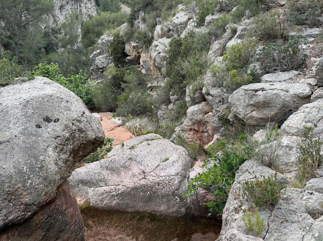 Hotel Mas Mariassa主图