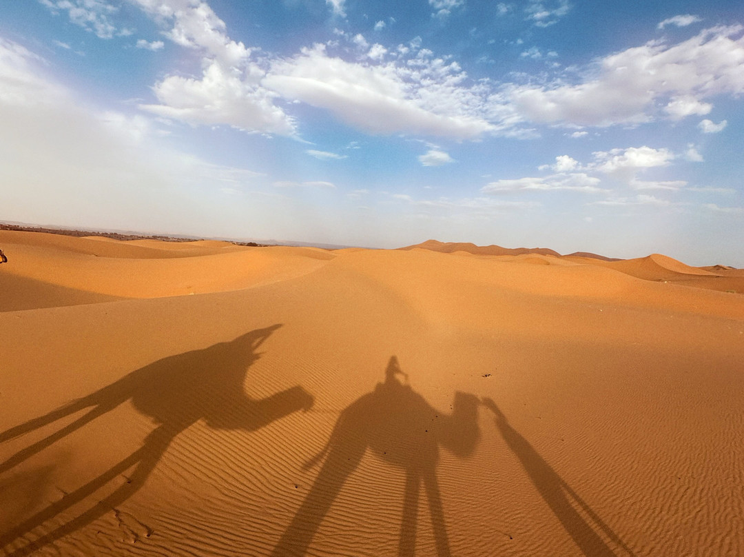 Easy Travels in Morocco景点图片