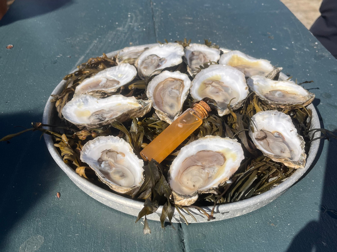 Lady Oyster Tours-巴斯必去景点