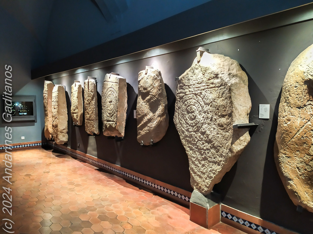 Museo de Caceres景点图片