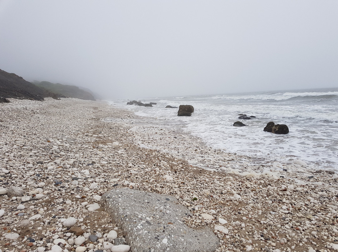 Reighton Sands Beach-Reighton必去景点