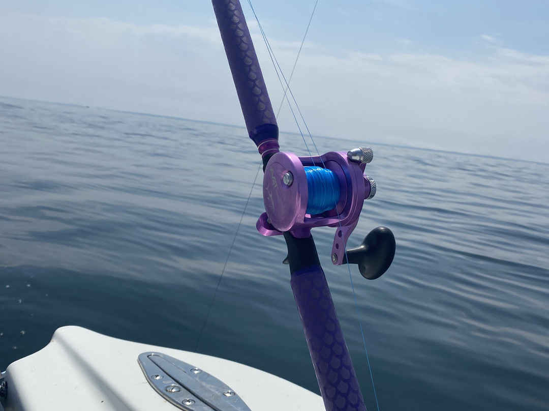 Kingfisher Charters-旧塞布鲁克必去景点