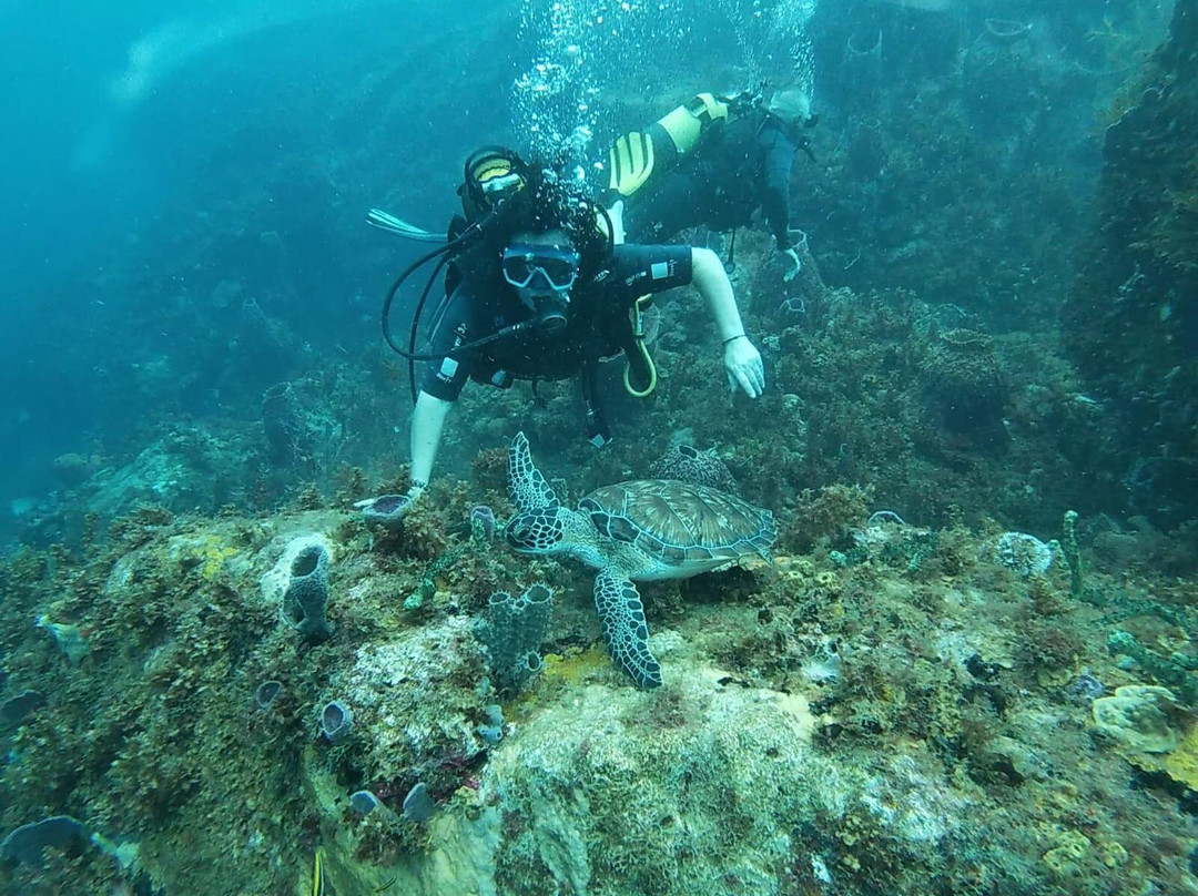 Bubble Dive景点图片