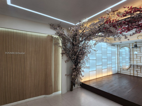 Hanboknam-首尔必去景点