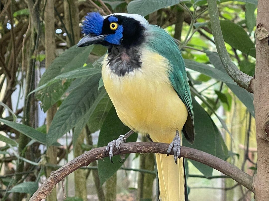 Bioparque La Reserva-Cota必去景点