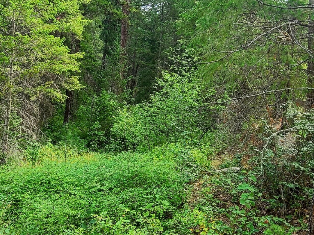 Kettle River Recreation Area景点图片