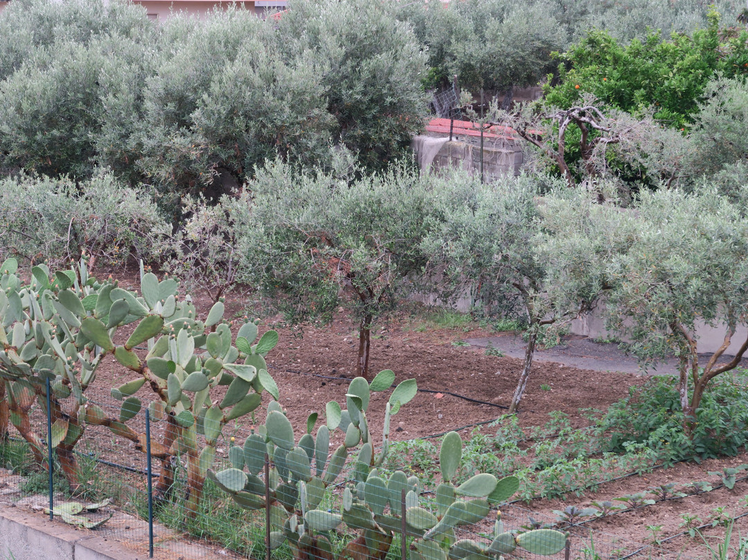 Torre Melissa-Torre Melissa必去景点